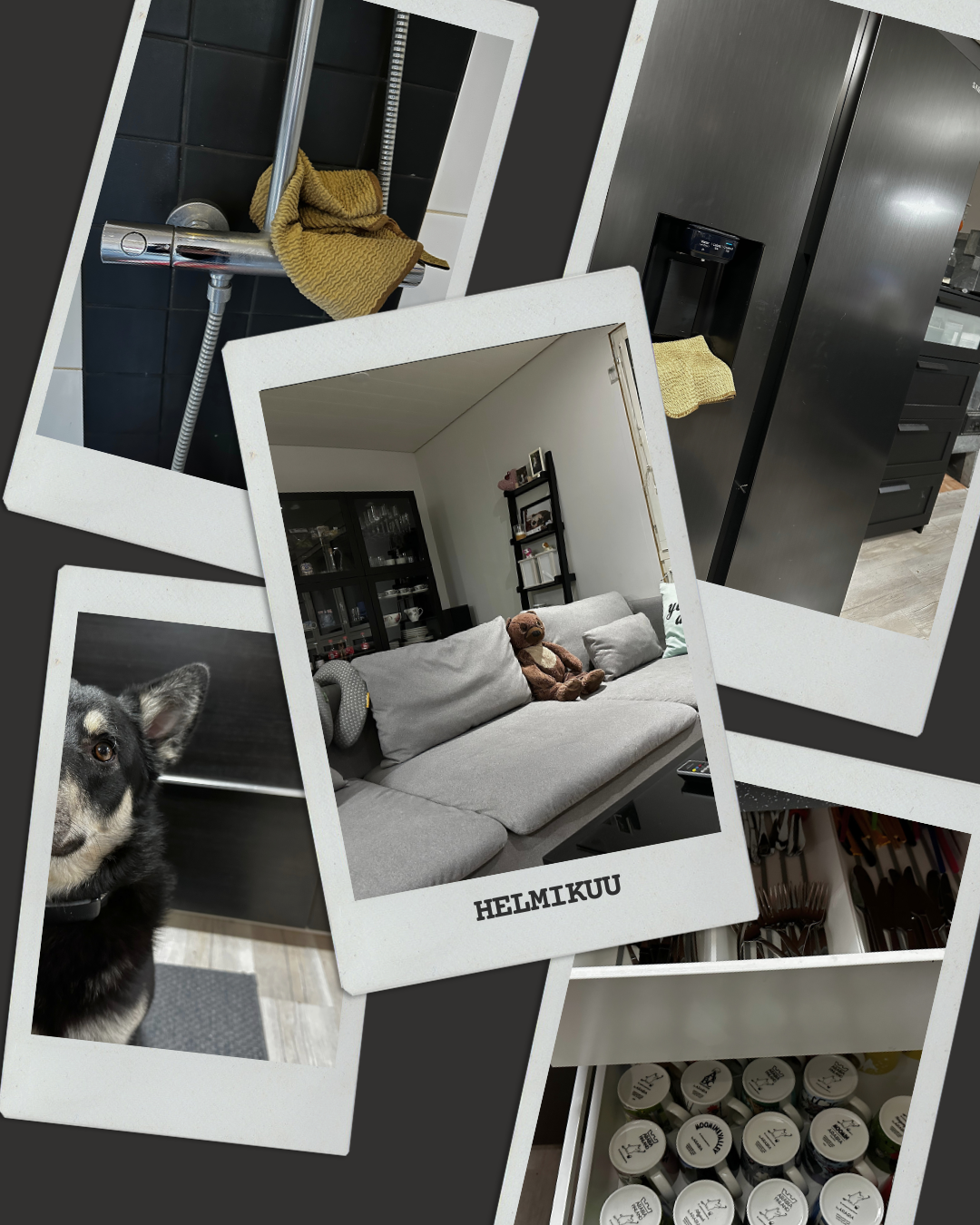 Helmikuun siivouskalenteri – keittiö, olohuone ja kylpyhuone hallintaan helposti