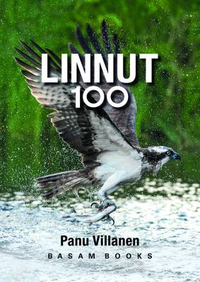 Linnut 100 - pelikortit