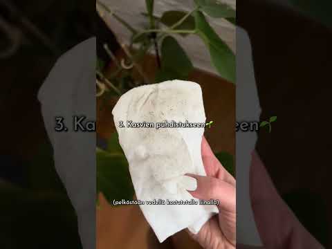 Swipetex yleisliina 30 x 50 cm (50 kpl)